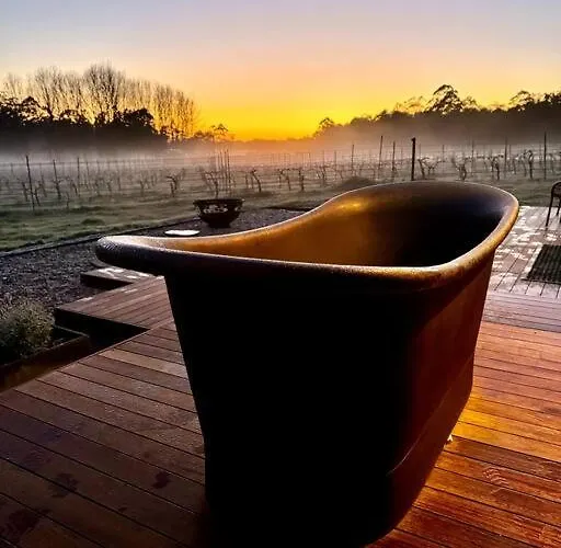 Watertree At Dalton\'S Paddock